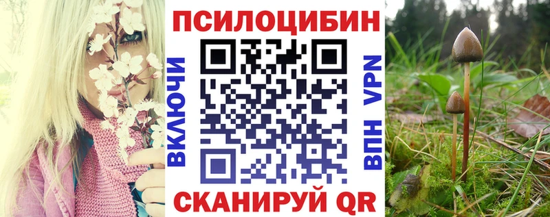 Купить Буй Галлюциногенные грибы MAGIC MUSHROOMS